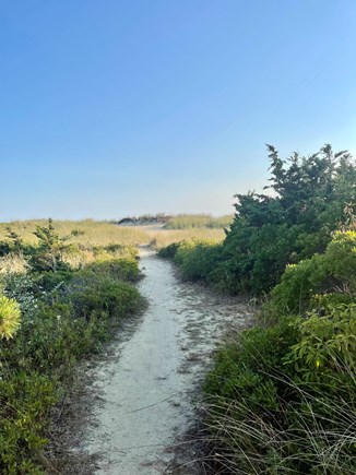 Dennis Port Cape Cod vacation rental - Path to Haigis Beach, just steps outside the cottage