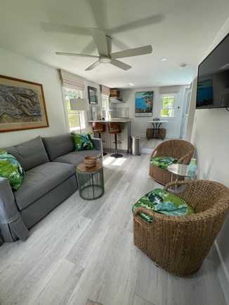 Hyannis Cape Cod vacation rental - Cottage Living Area with pullout queen