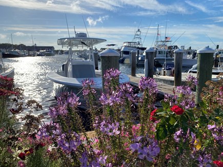 Osterville - Barnstable Cape Cod vacation rental - Crosby's Marina