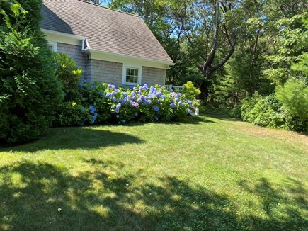 Cotuit Cape Cod vacation rental - Lawns and landscaped yard surround house.