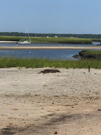 Eastham Cape Cod vacation rental - Boat Meadow Beach. Great for sunning, swimming, and kayaking!
