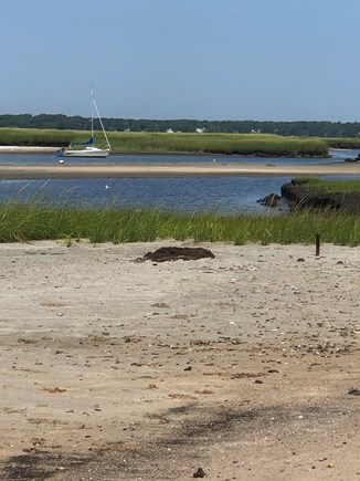Eastham Cape Cod vacation rental - Our beautiful CC Bay Beach.