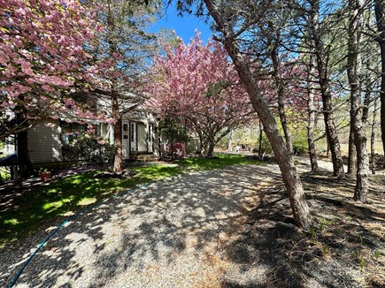 Brewster Cape Cod vacation rental - Exterior - Front