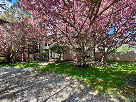 Brewster Cape Cod vacation rental - Exterior - Front