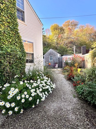 Provincetown West End Cape Cod vacation rental - Autumn flowers, with path that leads to private our patio.