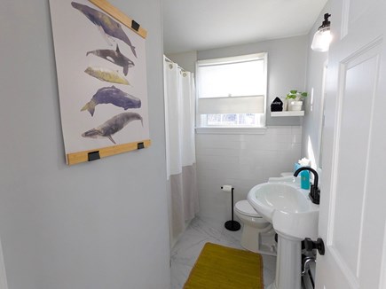 Falmouth Cape Cod vacation rental - Downstairs Full Bath