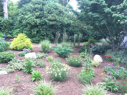 Falmouth Cape Cod vacation rental - Front yard garden.