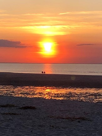 South Dennis Cape Cod vacation rental - Sunset at Mayflower Beach