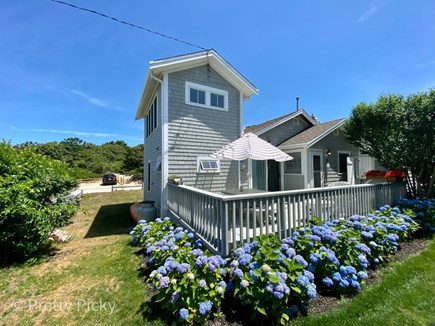 Brewster Cape Cod vacation rental - Superb cottage steps from Ellis Landing Beach