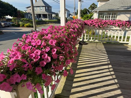 Falmouth, New Silver Beach Cape Cod vacation rental - June 2026
