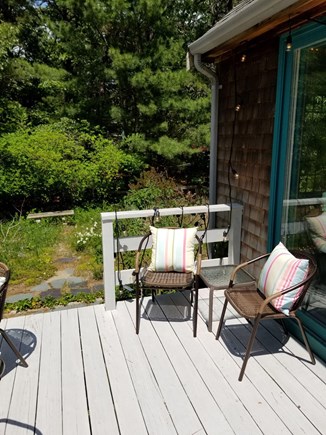 Eastham Cape Cod vacation rental - Sit in the sun and enjoy the peaceful yard