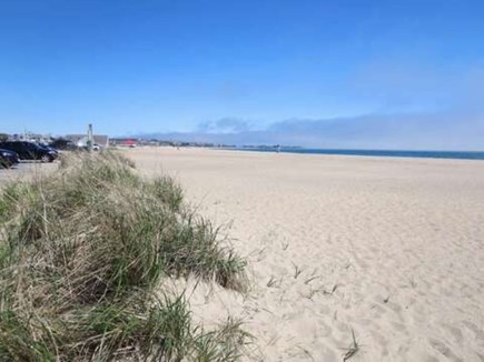 Centerville Cape Cod vacation rental - Looking to go to the ocean? Popular Craigville Beach is nearby!