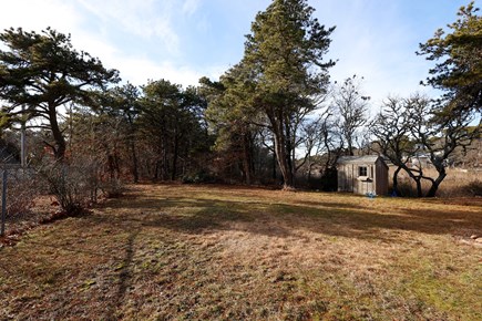 Chatham Cape Cod vacation rental - Yard