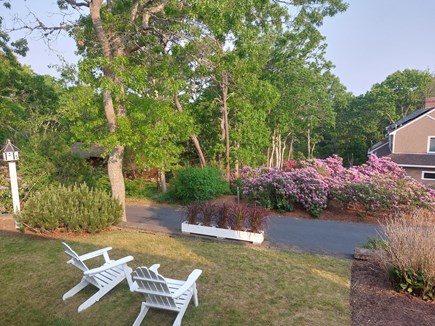 Yarmouth, Halfway Pond Cape Cod vacation rental - Pond View & Access: Bring your paddle board,canoe & fishing gear!