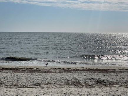 South Yarmouth Cape Cod vacation rental - Smugglers Beach