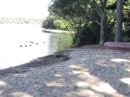 Mashpee Cape Cod vacation rental - Beach and kayak