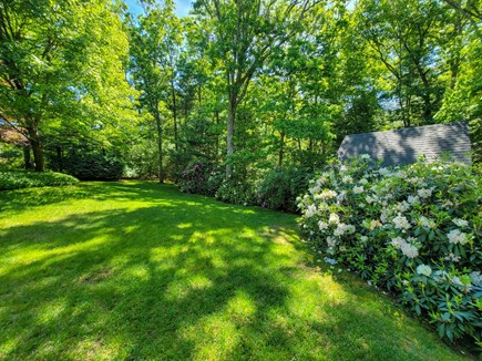 Centerville Cape Cod vacation rental - You're going to want to walk barefoot here.