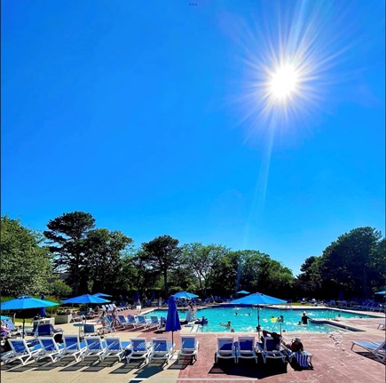 Brewster Cape Cod vacation rental - Arbor Pool is a 10 min walk and has a restaurant and full bar
