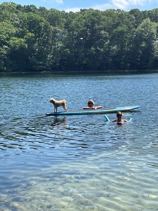 Brewster Cape Cod vacation rental - Backyard fun on Owl Pond - paddle board, swim, fish!