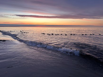 South Yarmouth Cape Cod vacation rental - Everyday is a beauty at this location