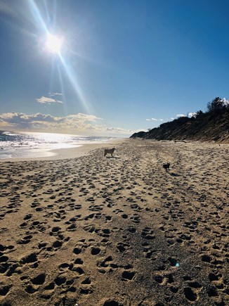 North Eastham Cape Cod vacation rental - Beach walk in the morning