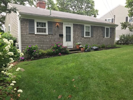 Falmouth Heights Cape Cod vacation rental - Nicely landscaped yard with a bed of flowering hydrangeas