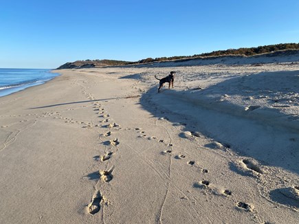 Wellfleet Cape Cod vacation rental - Newcomb Hollow Beach, great walks!