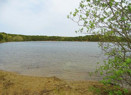 Chatham Cape Cod vacation rental - Five minutes to Goose pond-great for kayaking and paddleboarding