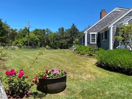 East Orleans Cape Cod vacation rental - Front yard