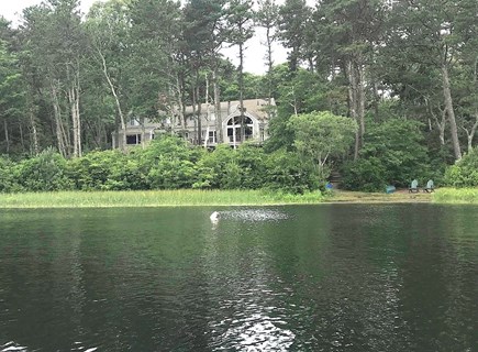 Orleans Cape Cod vacation rental - Looking back at the house from a kayak on the lake
