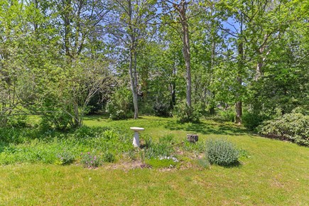 Orleans Cape Cod vacation rental - Plenty of backyard space for fun and games.