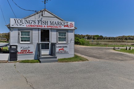Orleans Cape Cod vacation rental - Young's Fish Market less than 1/2 mile, classic seafood.