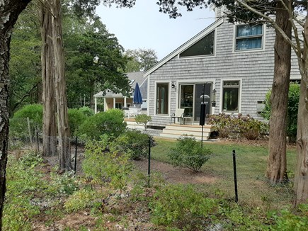 Orleans Cape Cod vacation rental - Nicely bordered by conservation land...great bird watching!