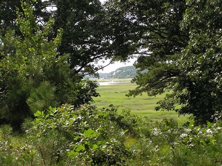 Wellfleet Cape Cod vacation rental - View From Back Yard