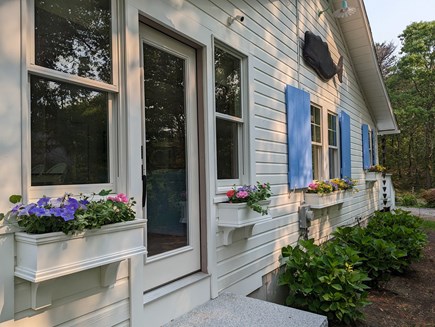 Wellfleet Cape Cod vacation rental - Flower boxes and thoughtful gardens add coastal charm!