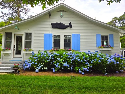 Wellfleet Cape Cod vacation rental - Front of cottage in July