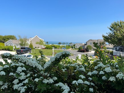 Mashpee, New Seabury Cape Cod vacation rental - Flowers just down from the cottage on Nantucket Sound!
