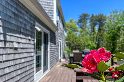 Chatham Cape Cod vacation rental - Back deck area