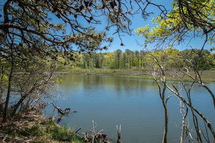 Dennis Cape Cod vacation rental - Swan River--a great place to launch kayaks from!