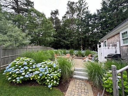 South Dennis Cape Cod vacation rental - Hydrangea Filled Backyard