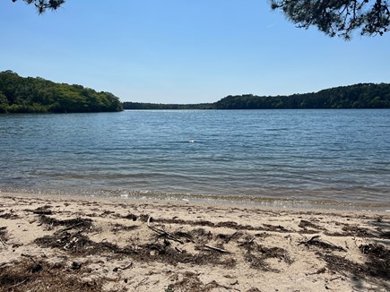 Brewster Cape Cod vacation rental - Nestled in the northeast corner cove of Long Pond is your beach!