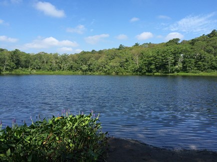 Plymouth MA vacation rental - Freshwater Rabbit Pond is right across the street.