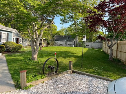 South Yarmouth Cape Cod vacation rental - Good Size lawn for entertainment