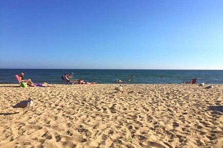 Centerville Cape Cod vacation rental - Large Sandy area along the beach for fun in the sun!!!