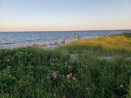 South Yarmouth Cape Cod vacation rental - Seaview Beach