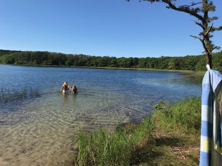 Truro Cape Cod vacation rental - Walk to Swim-able Pond, choose Ocean or Pond!