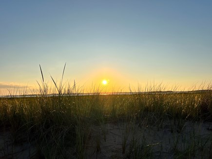 Dennis Port Cape Cod vacation rental - Beach Grass - the inspiration for the name of our cottages...