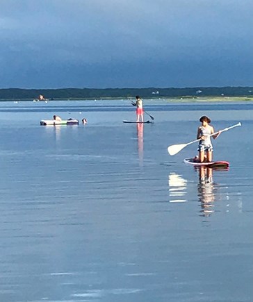 Wellfleet, Paine Hollow Cape Cod vacation rental - Paddle boarding on a calm day - Blackfish Creek