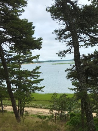 Wellfleet, Paine Hollow Cape Cod vacation rental - View from the deck, as hubby gives paddle boarding a try.