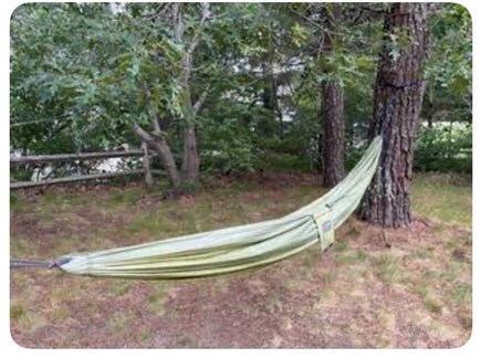 Truro Cape Cod vacation rental - Hammock for one or two. Great for naps and reading!